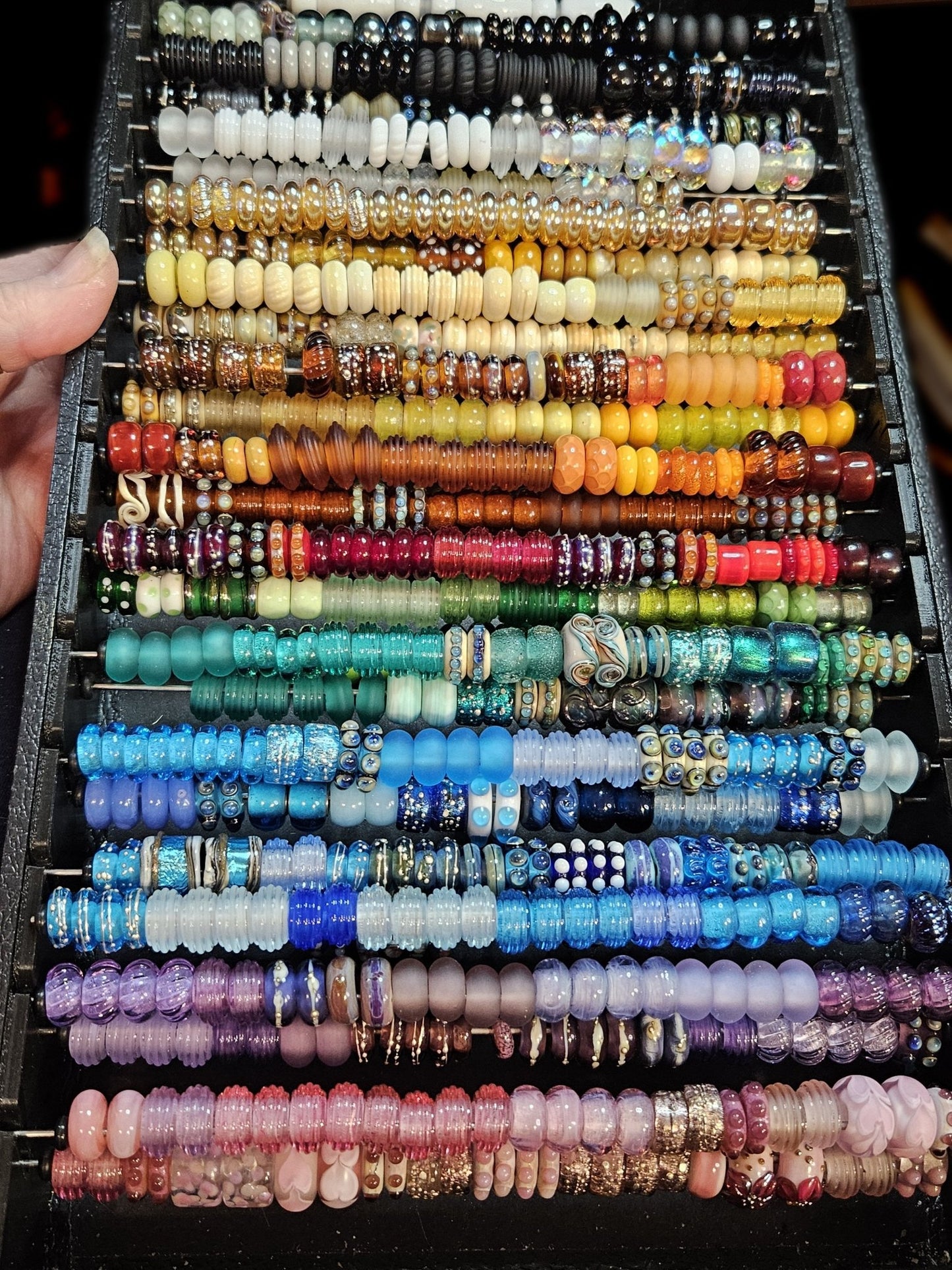 Budgie - Champion Show Leads