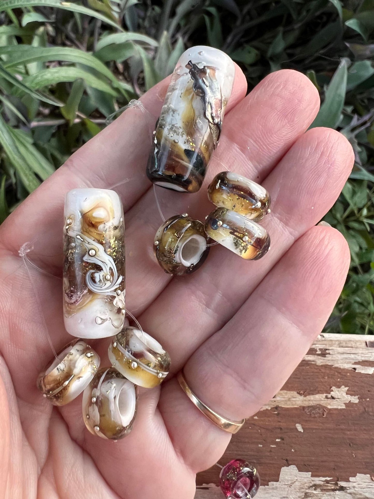 Champagne Celebration - Champion Show Leads