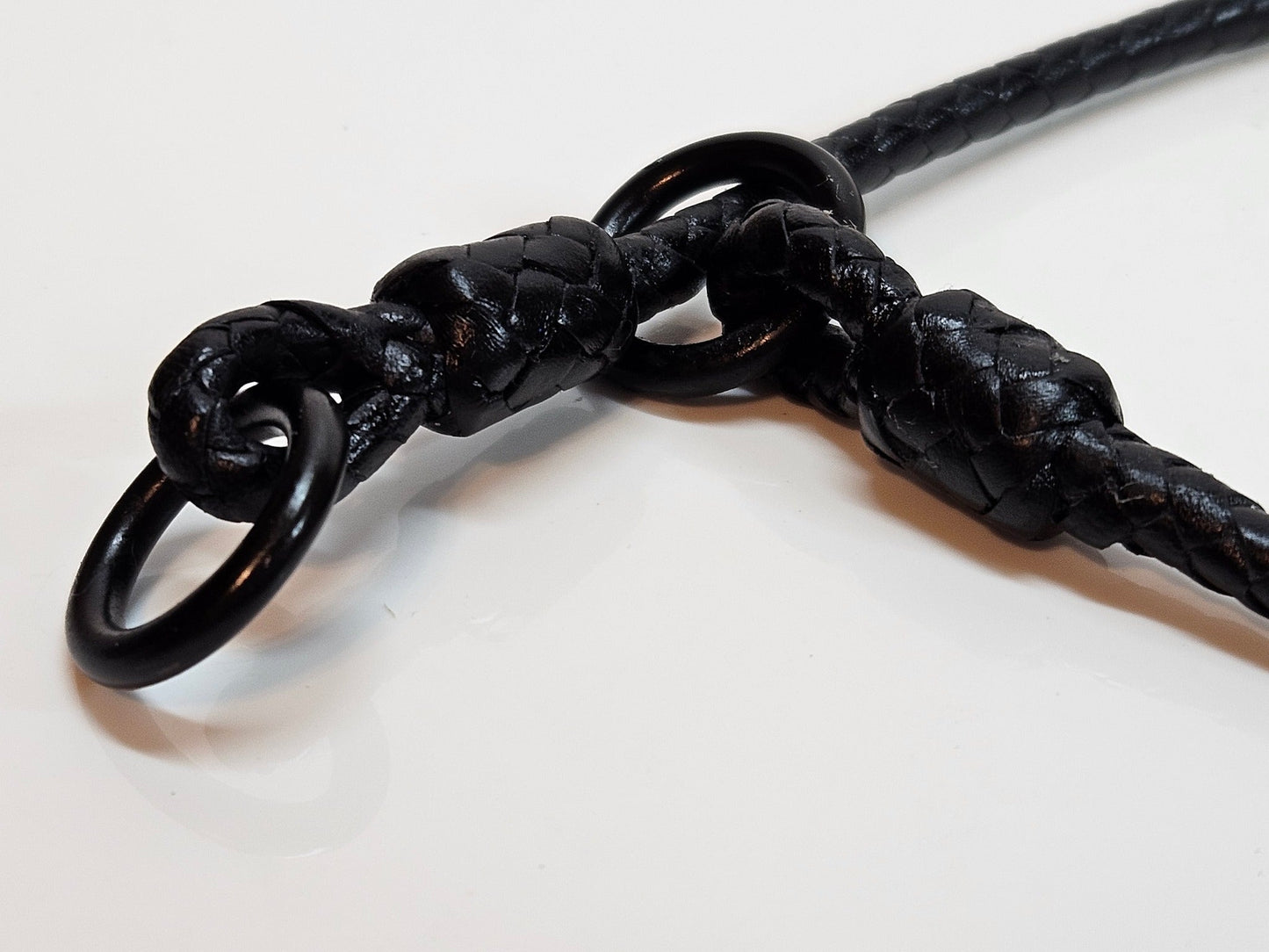 Custom Order Slip Collar - Leather - Champion Show Leads