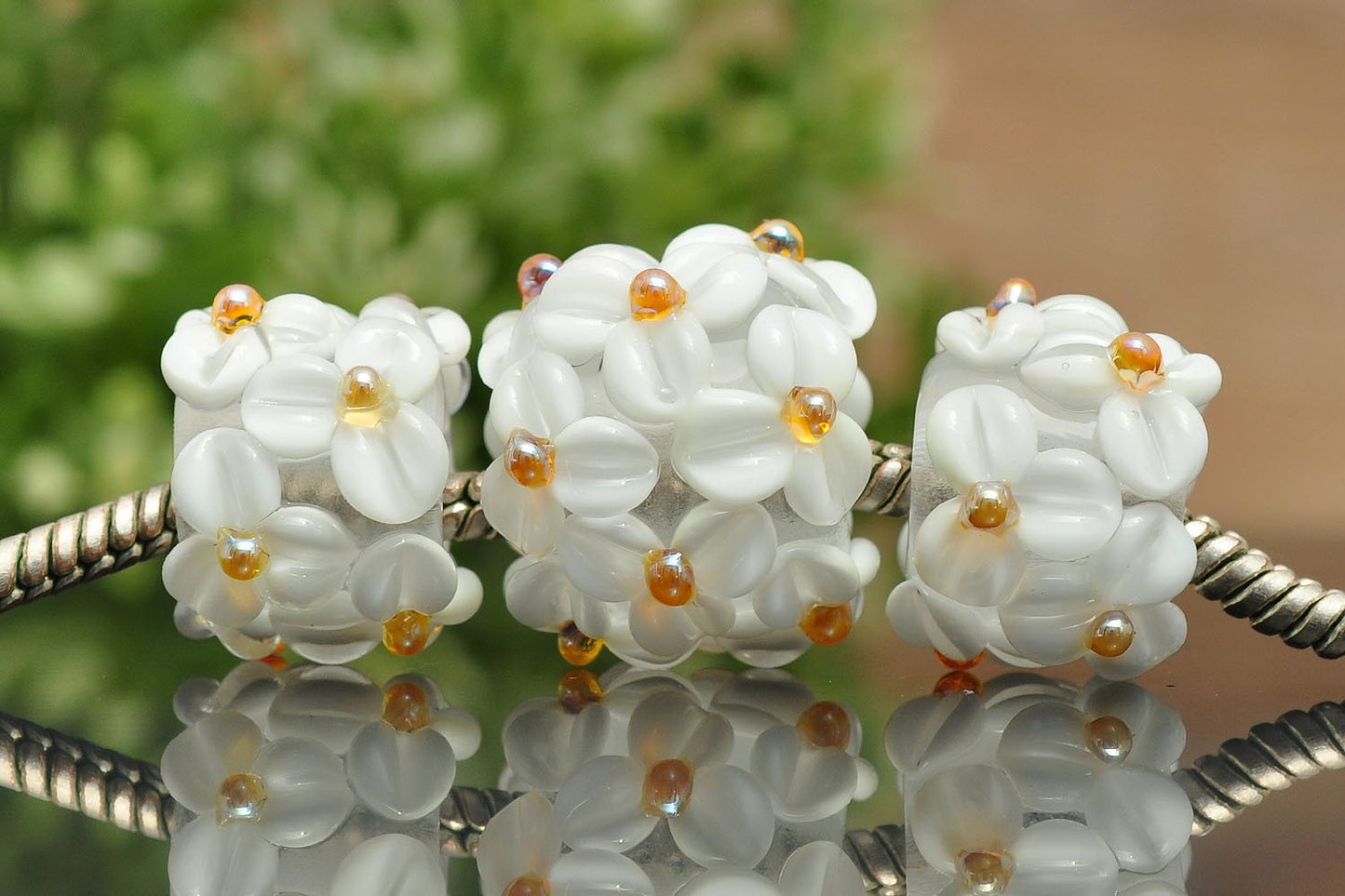 Dew Kissed - Champion Show Leads