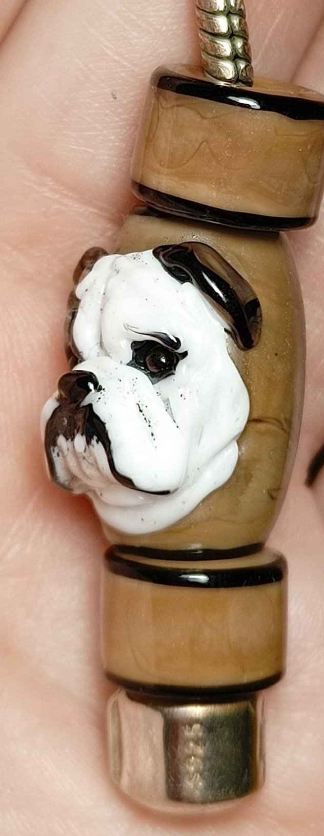 Droolius Caesar - Champion Show Leads