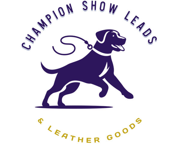Champion Show Leads