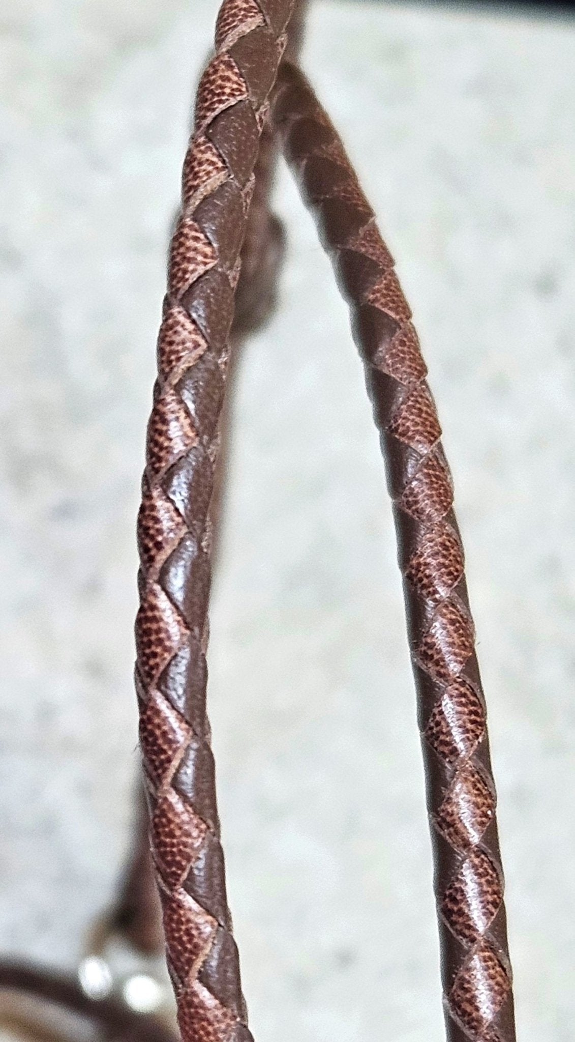 Lanyard - Champion Show Leads