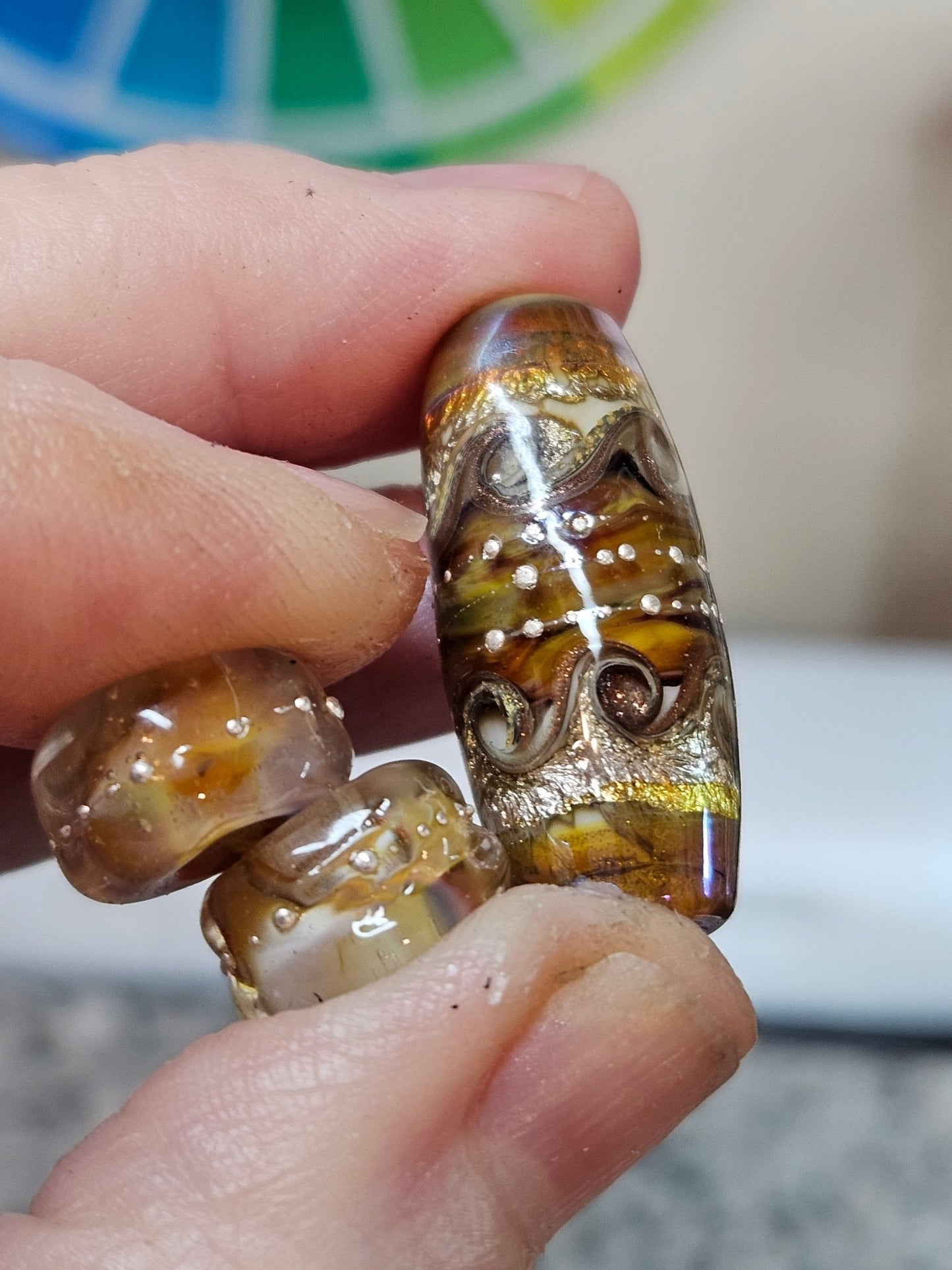 Aurae Milan - Champion Show Leads