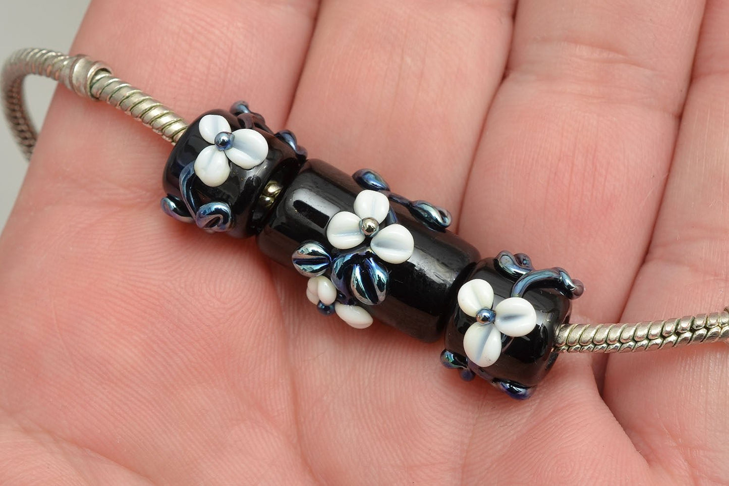 Black Beauty - ChampionShowLeads