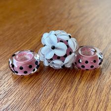 Blush Whisper - ChampionShowLeads