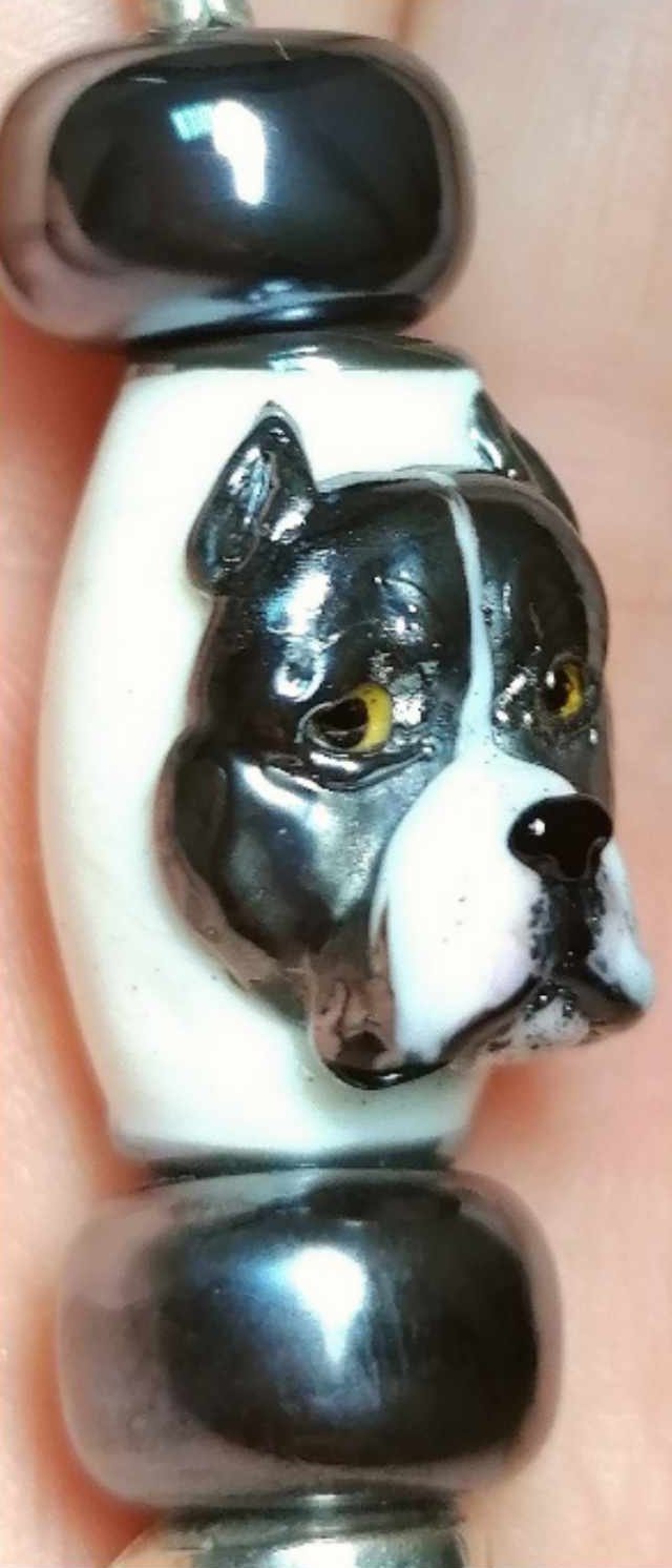 Bully To You - Champion Show Leads