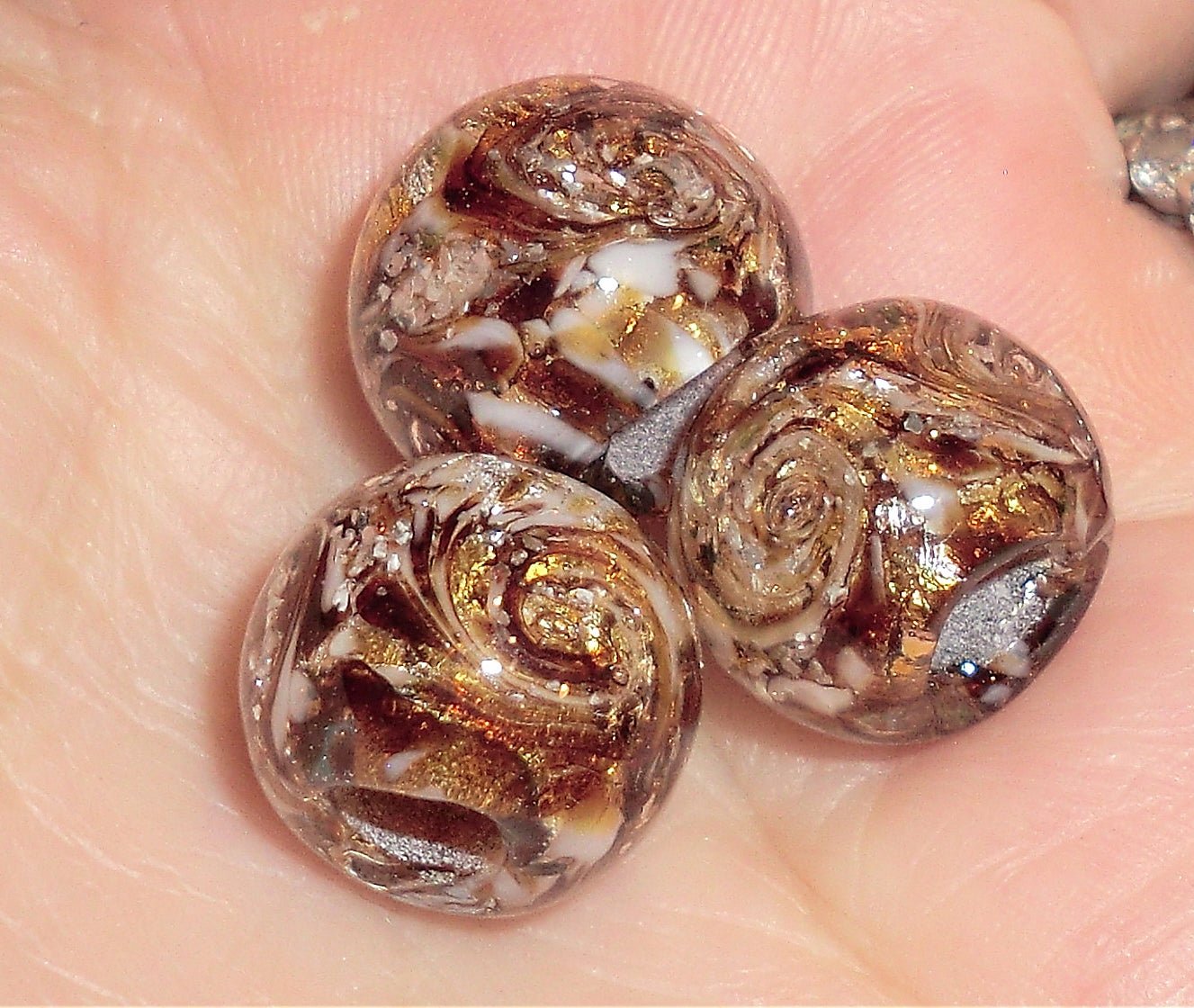 Cinnamon Vortex Trio - ChampionShowLeads