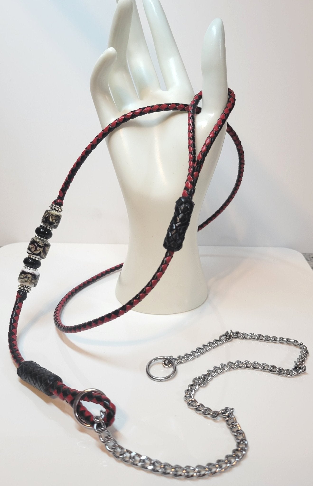 Classy and Sassy - ChampionShowLeads