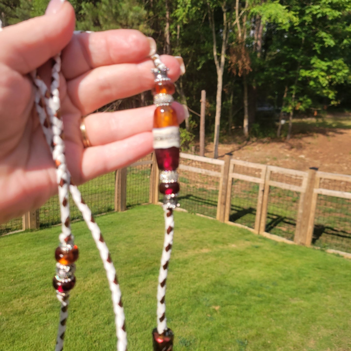 Cranberry Rush - Champion Show Leads