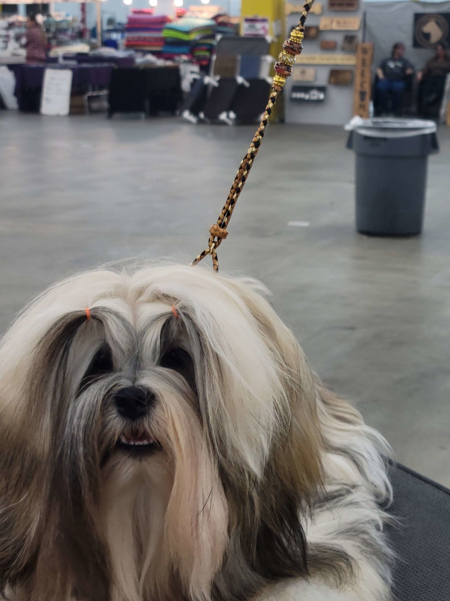 Custom Grooming Loop - Champion Show Leads
