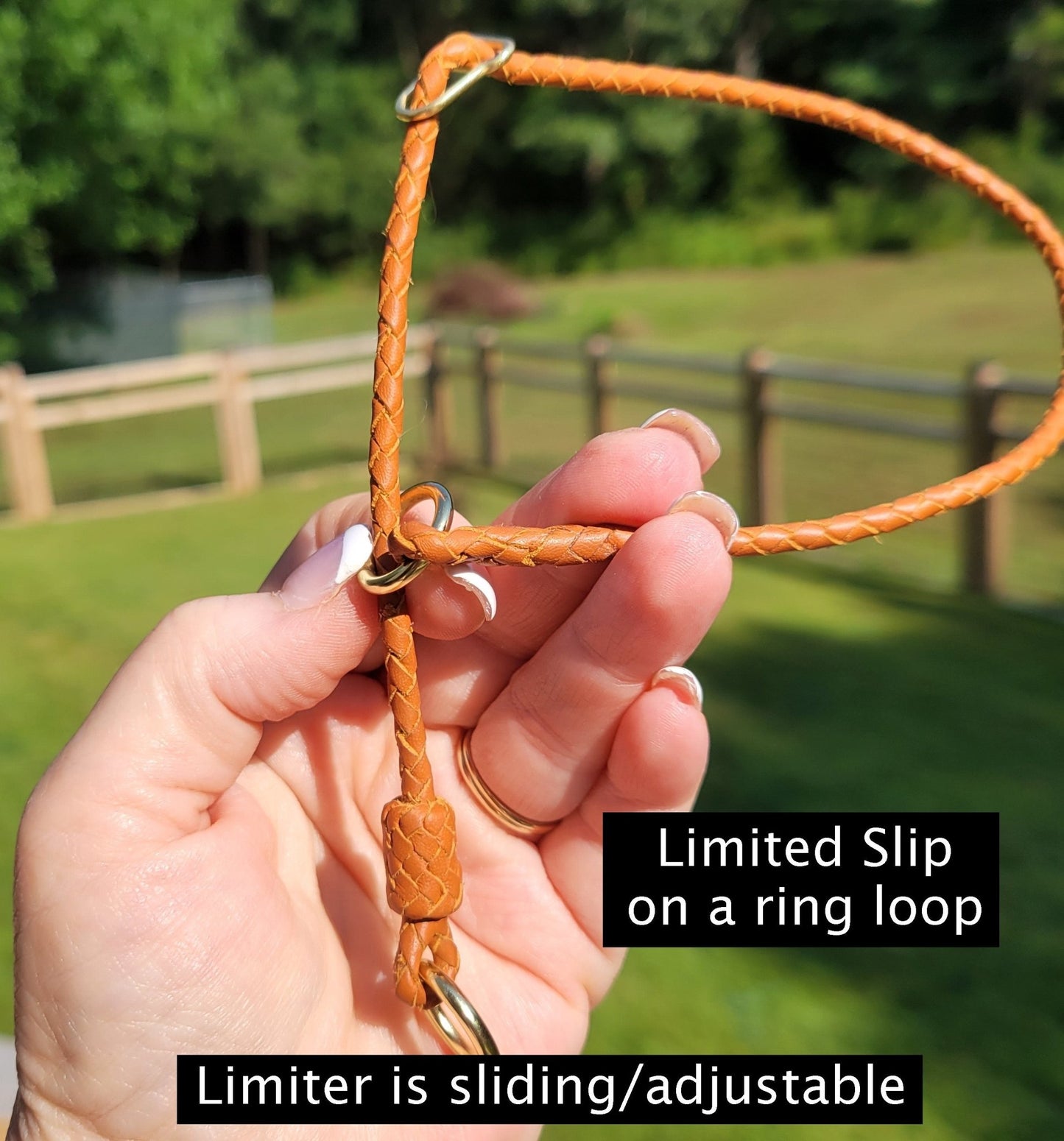 Custom Order Leather Collar - Champion Show Leads