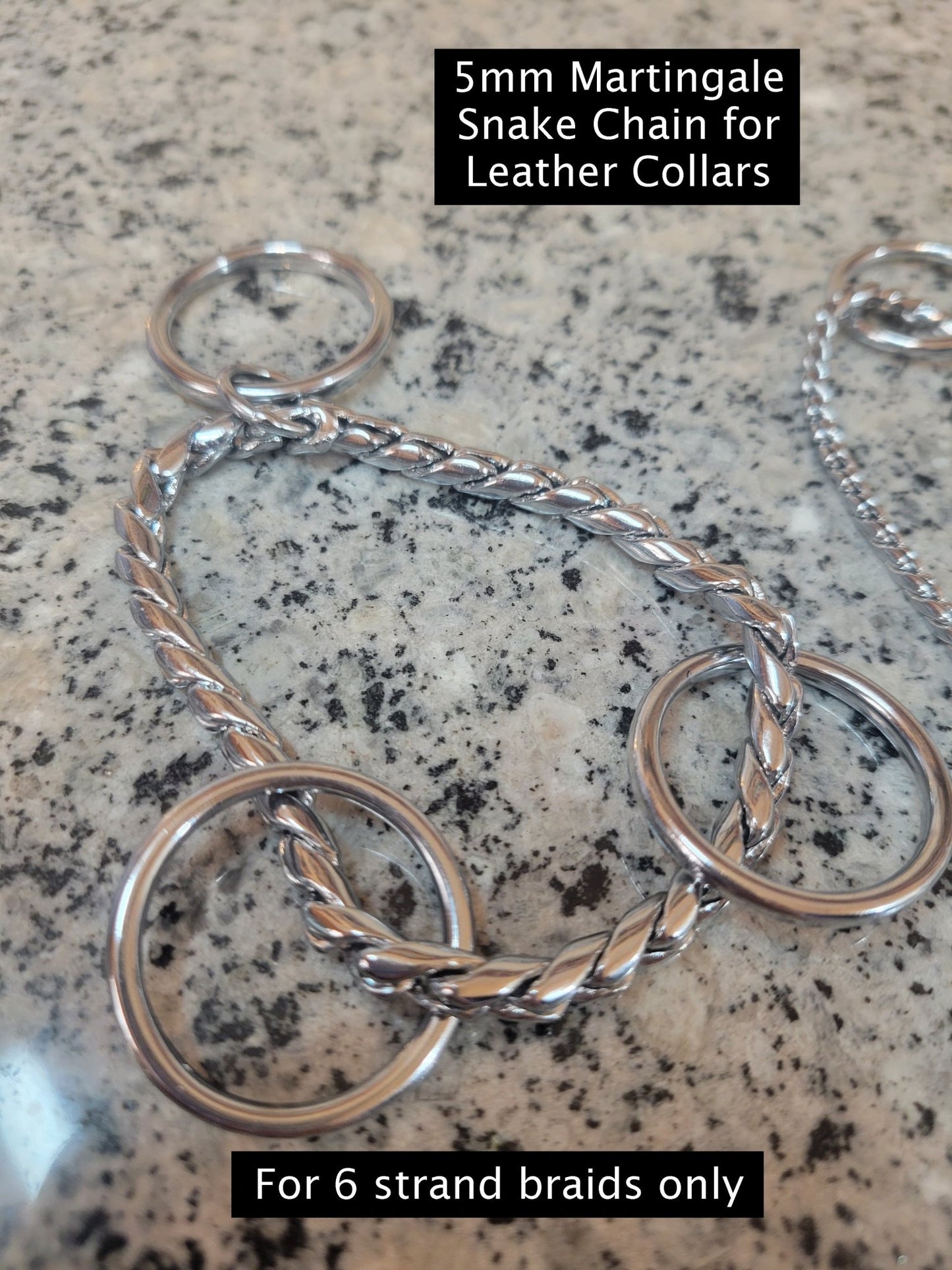 Custom Order Leather Collar - Champion Show Leads