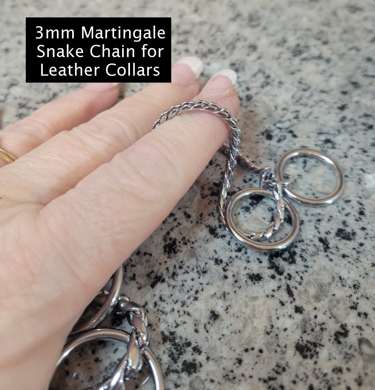 Custom Order Leather Collar - Champion Show Leads