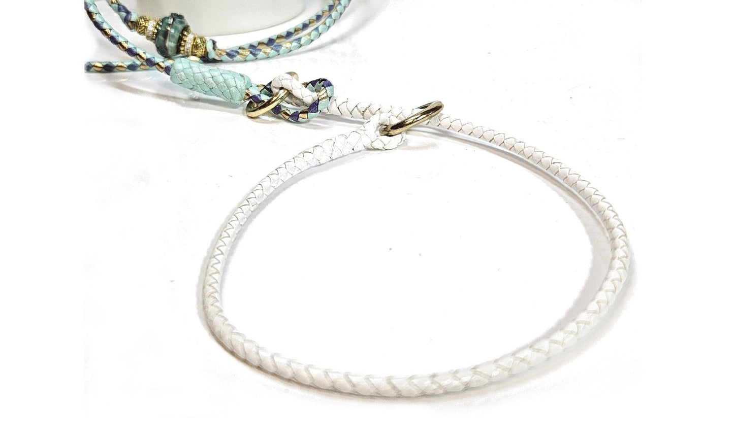 Custom Order Slip Collar - Leather - Champion Show Leads