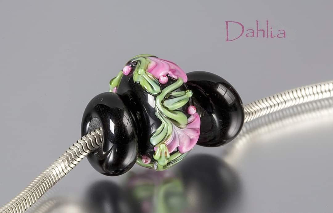 Dahlia - ChampionShowLeads