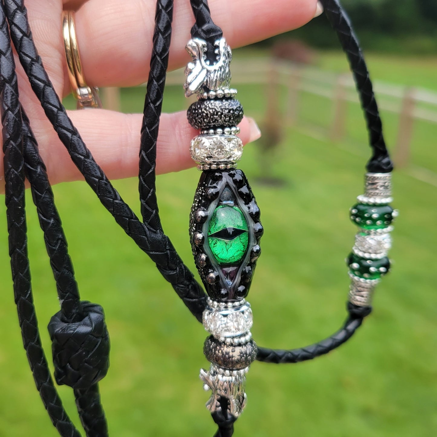 Drago - Champion Show Leads