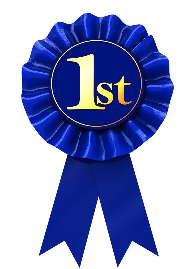 Expedited Order - Champion Show Leads