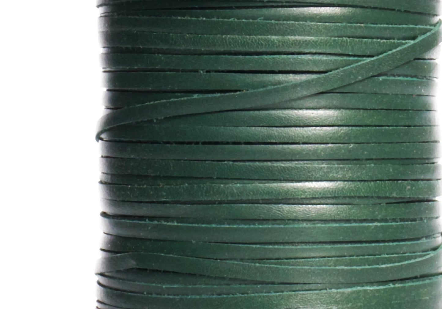 Fern - ChampionShowLeads