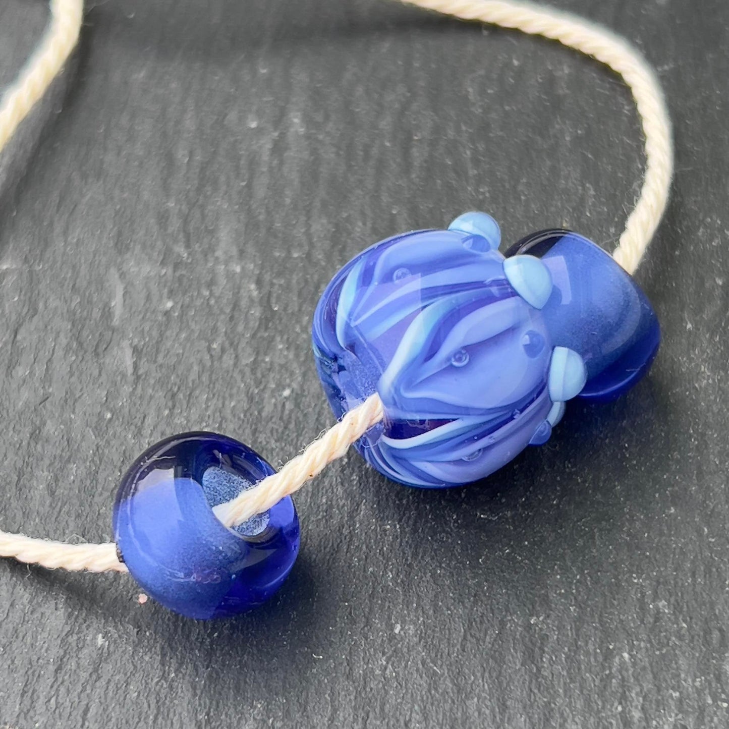 First Step - Champion Show Leads