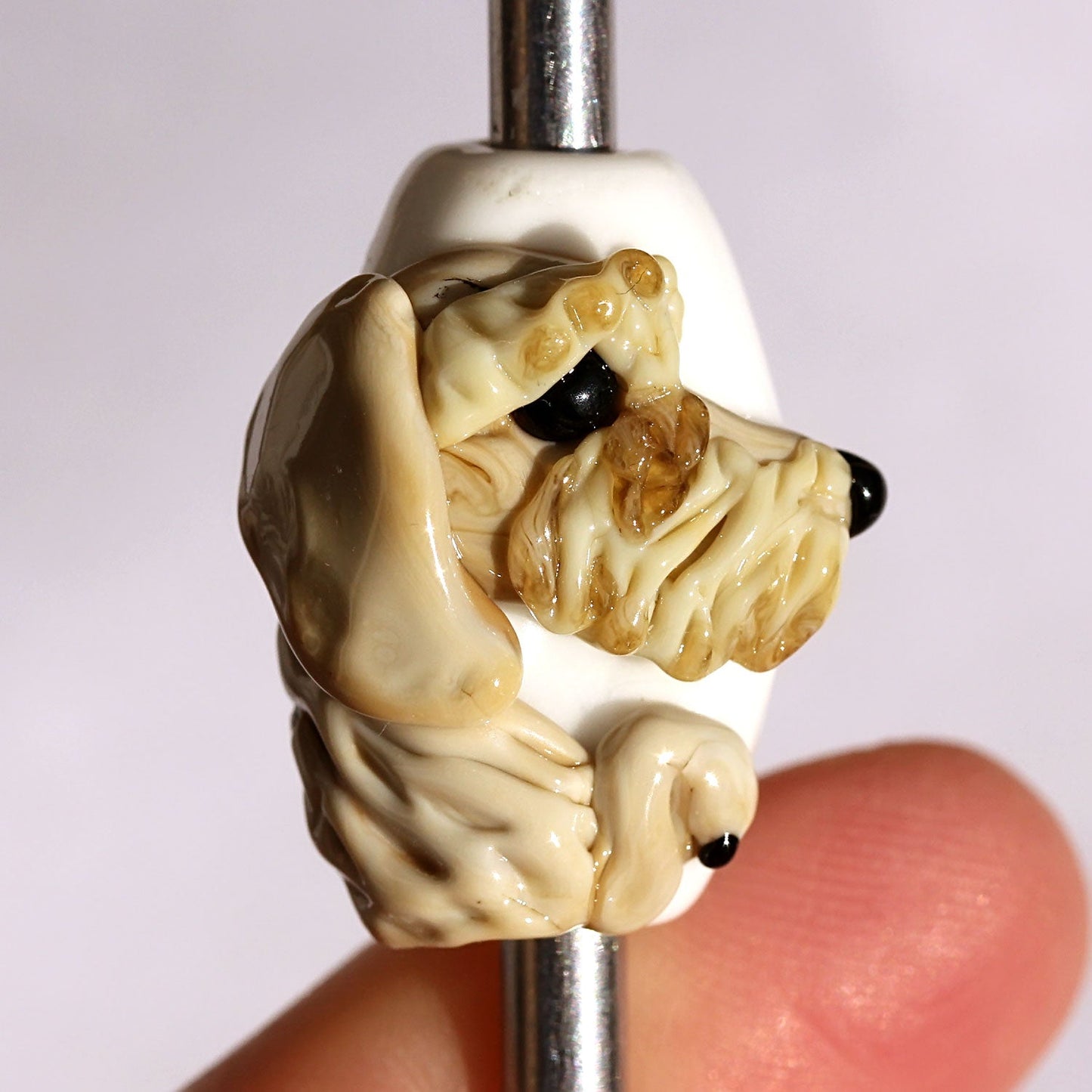 Frankie - Champion Show Leads