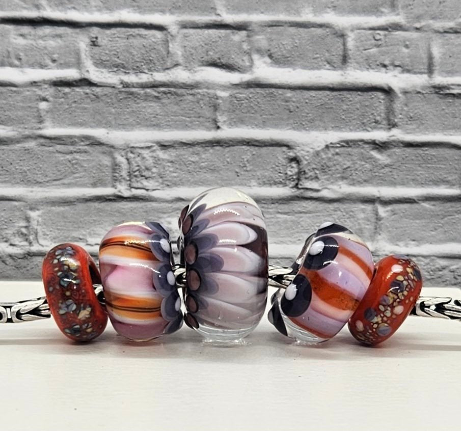 Kaleidoscope - Champion Show Leads