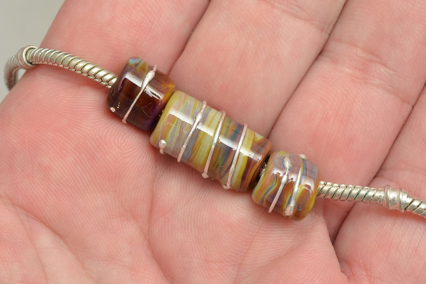 Mocha Swirl - ChampionShowLeads