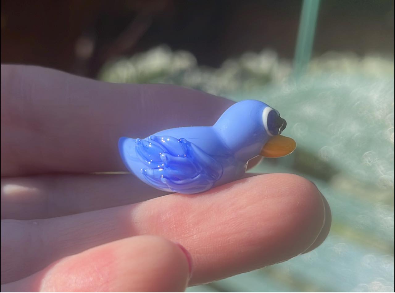 Mr Bluebird - Champion Show Leads