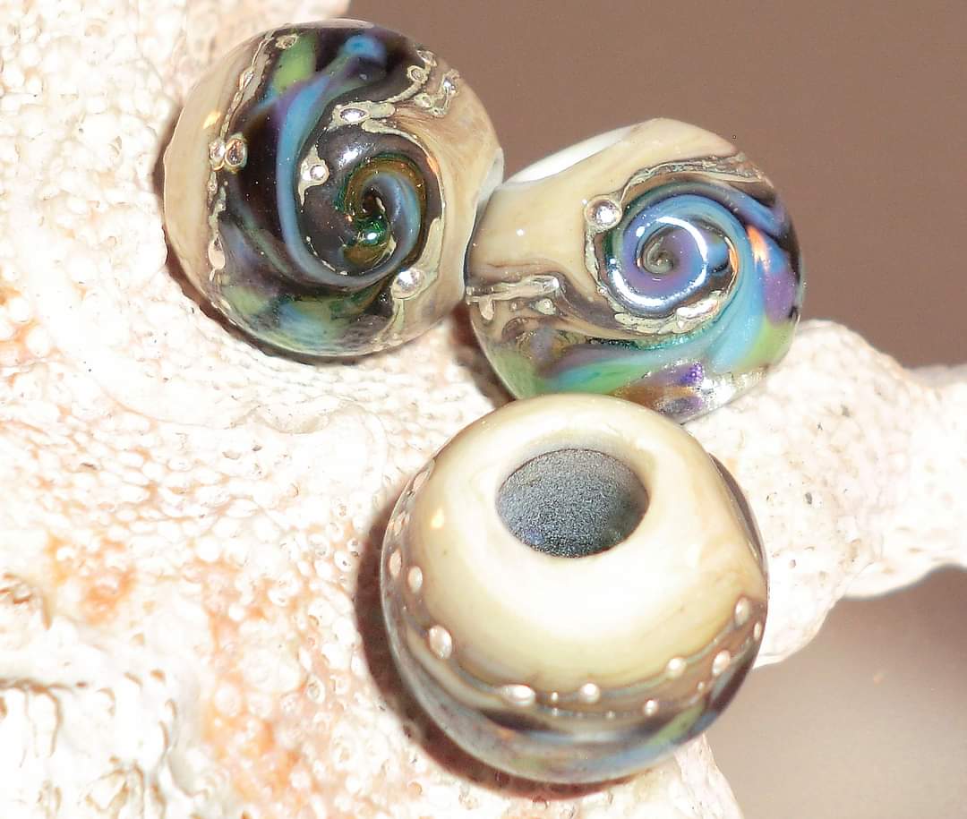 Northern Lights - Champion Show Leads