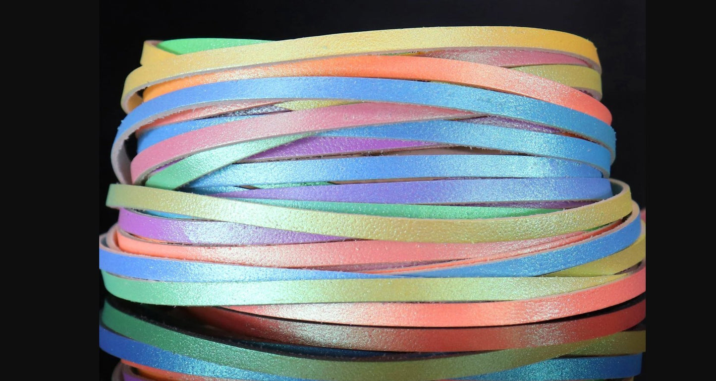 Ombre - Champion Show Leads