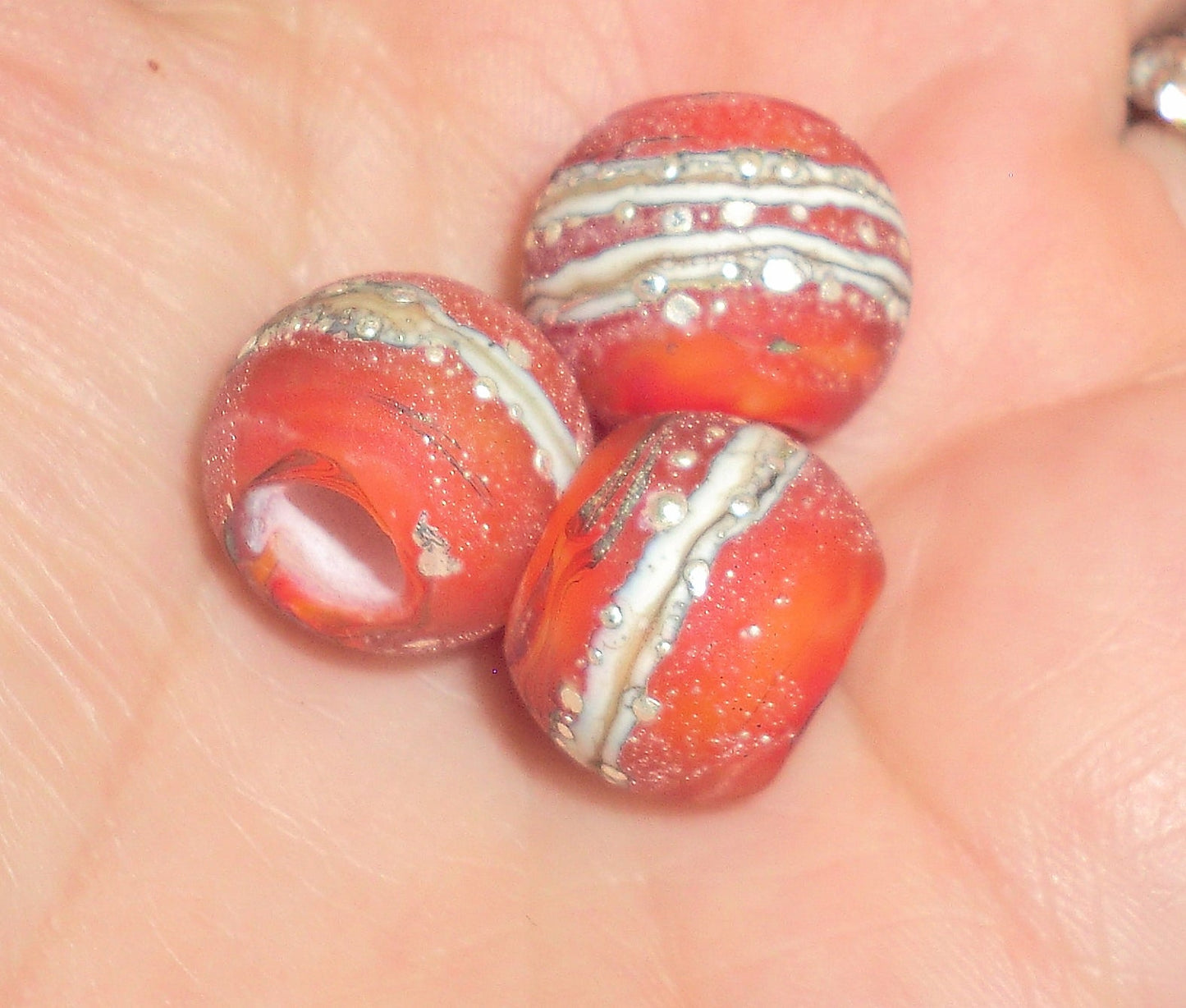 Orange Ocean - ChampionShowLeads