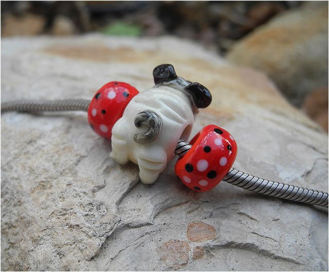 Pip - Champion Show Leads