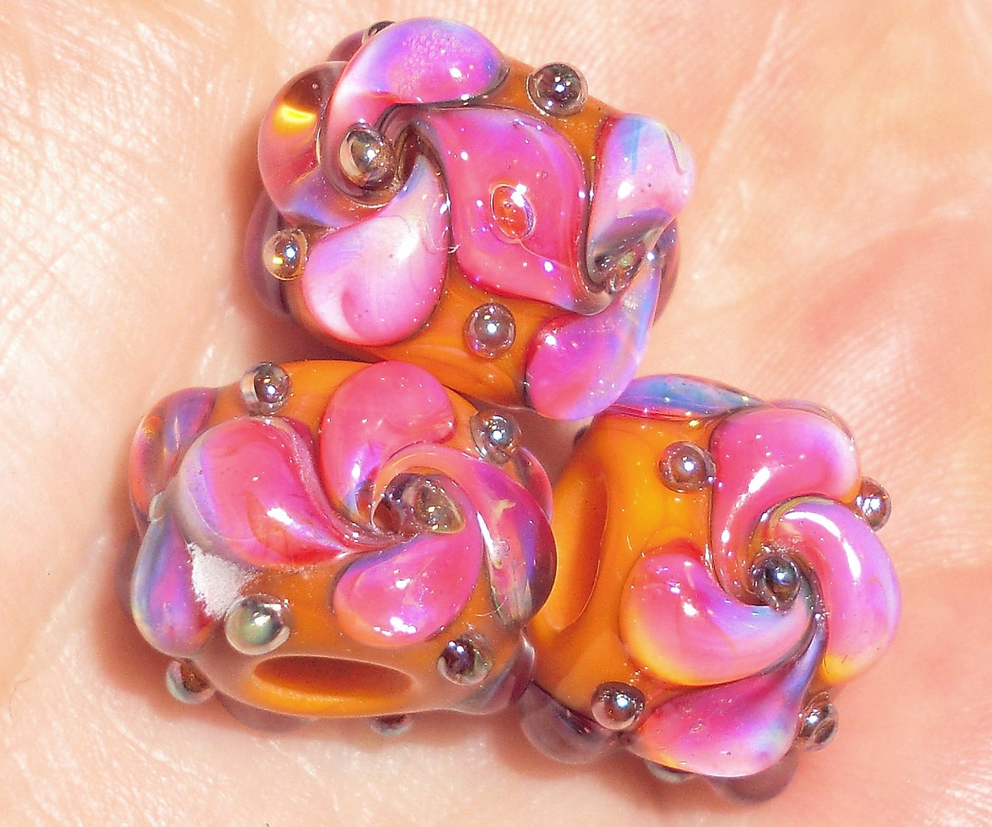 Pumpkin Clio - ChampionShowLeads