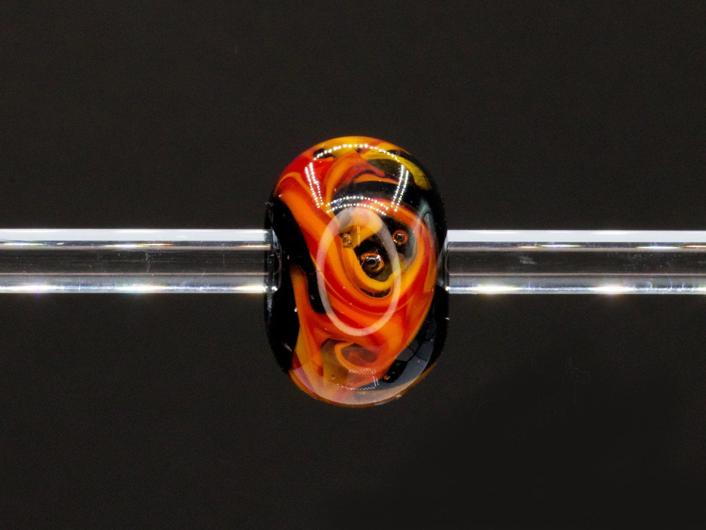 Saphira Kai - Champion Show Leads