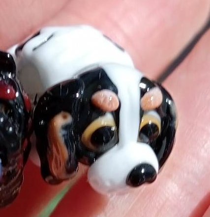 Snoopy - Champion Show Leads