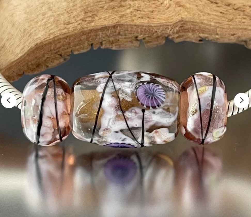 Solar Winds - Champion Show Leads