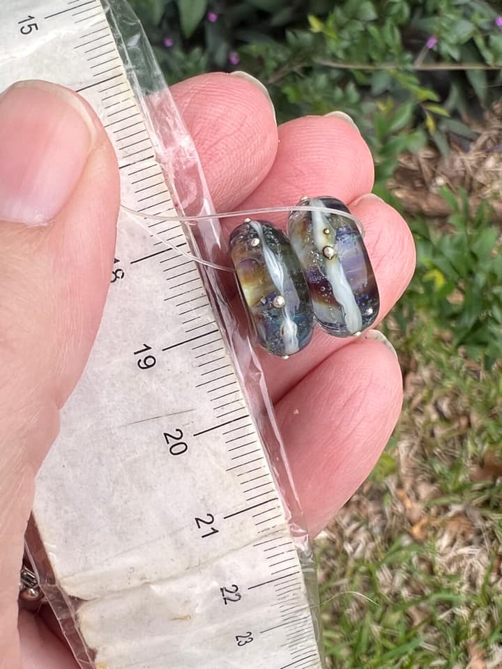 Stormy Weather - Champion Show Leads