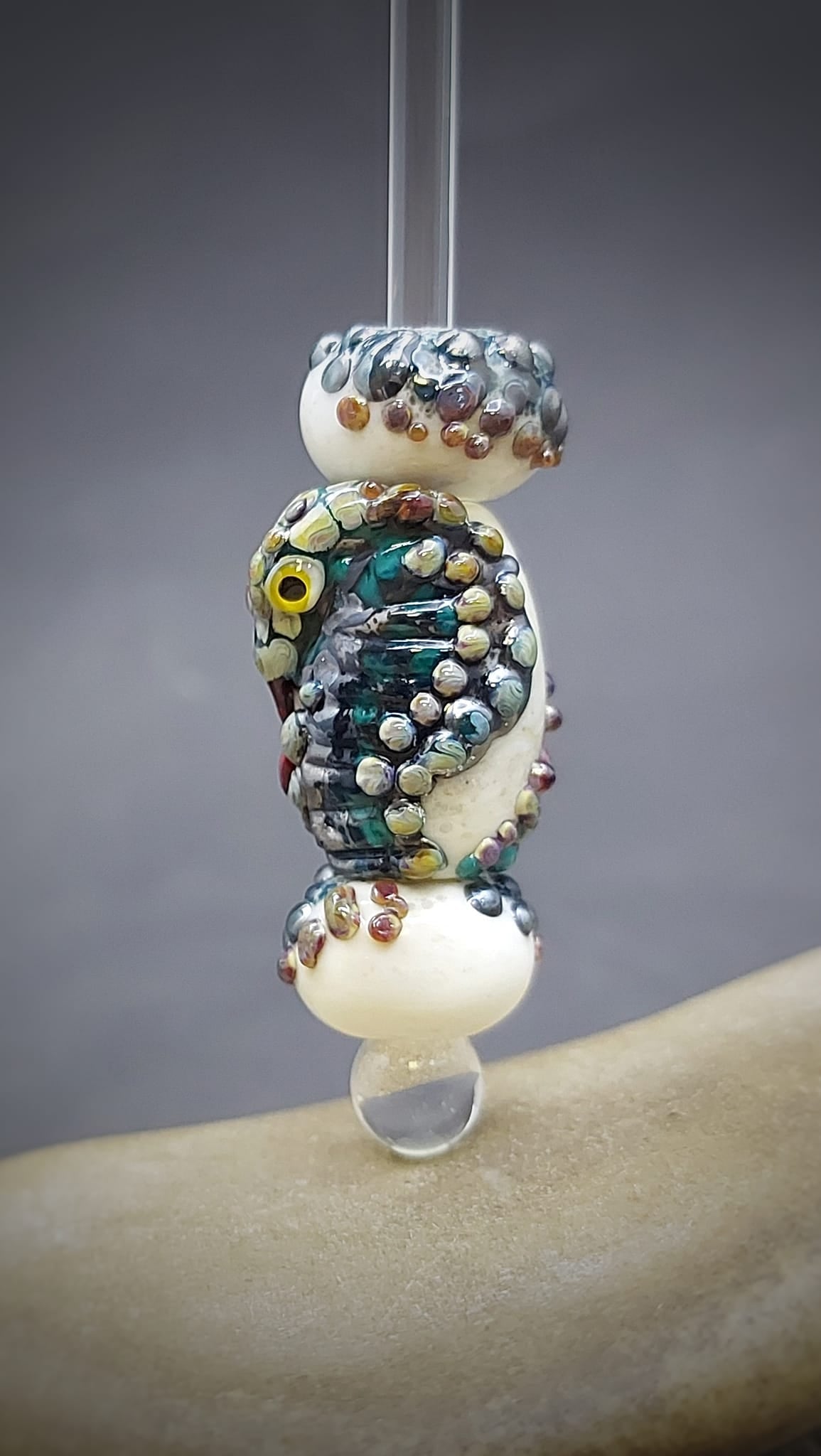 Time Forgotten - Champion Show Leads