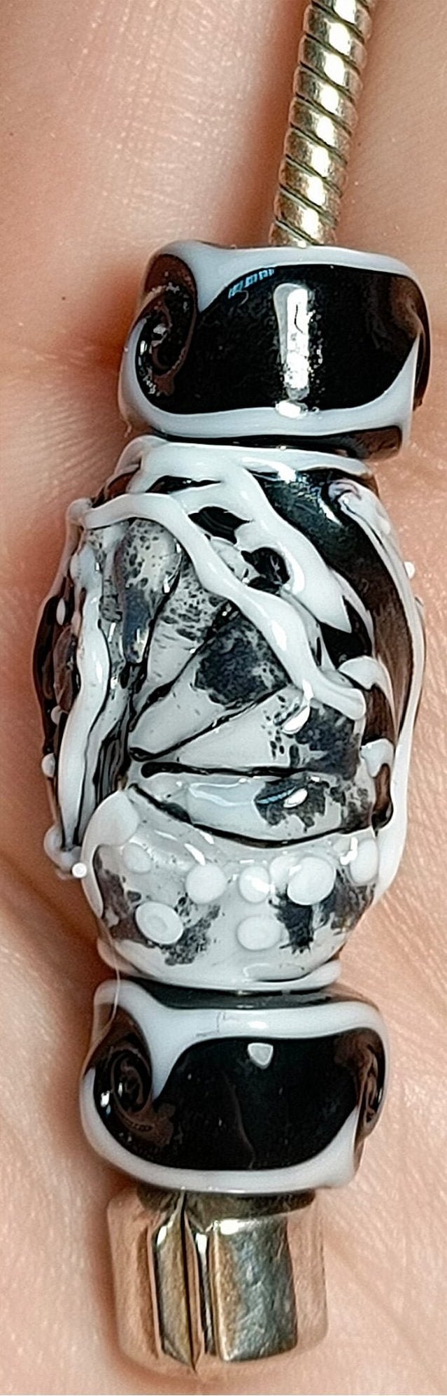 White Ashes - Champion Show Leads