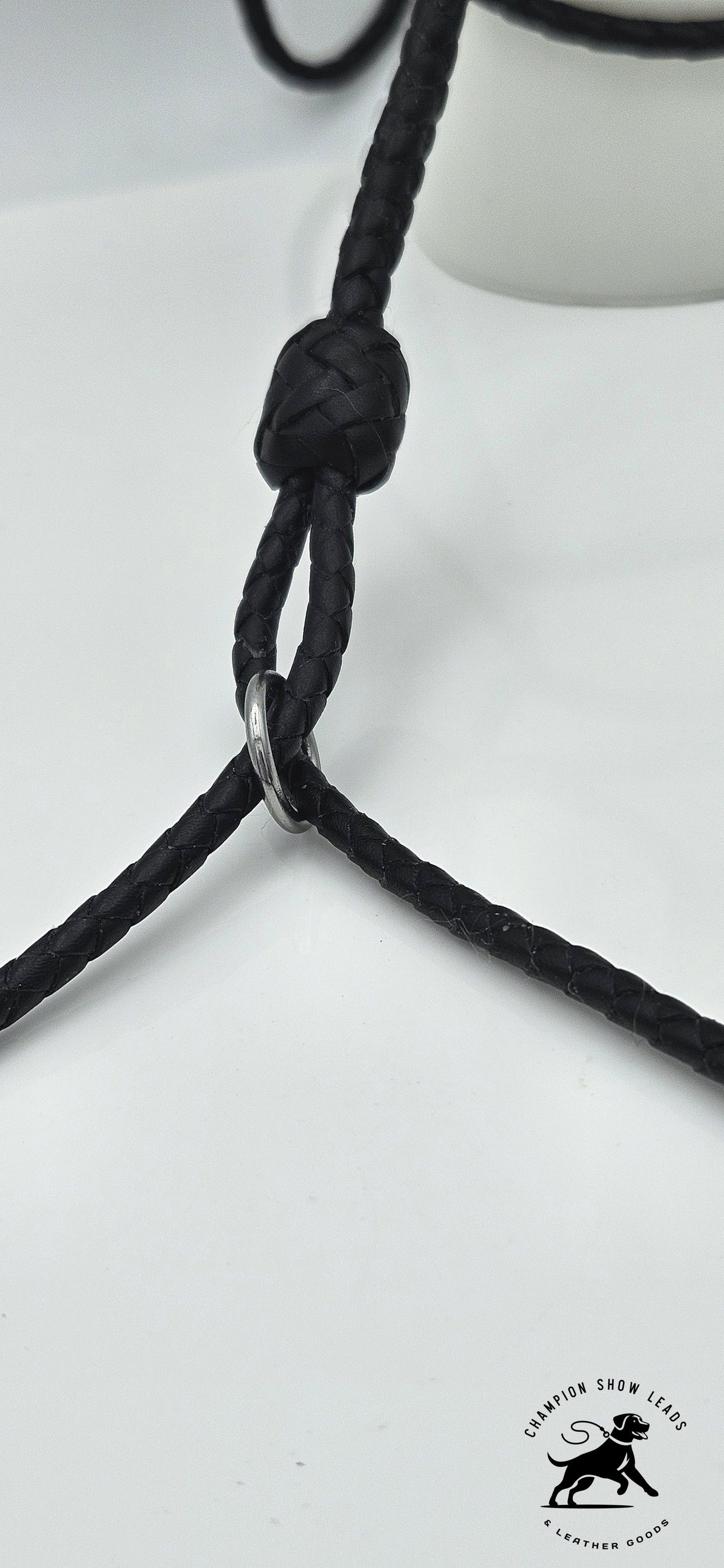 52" All-in-one Lead with Resco Style Collar and Kindness Pad