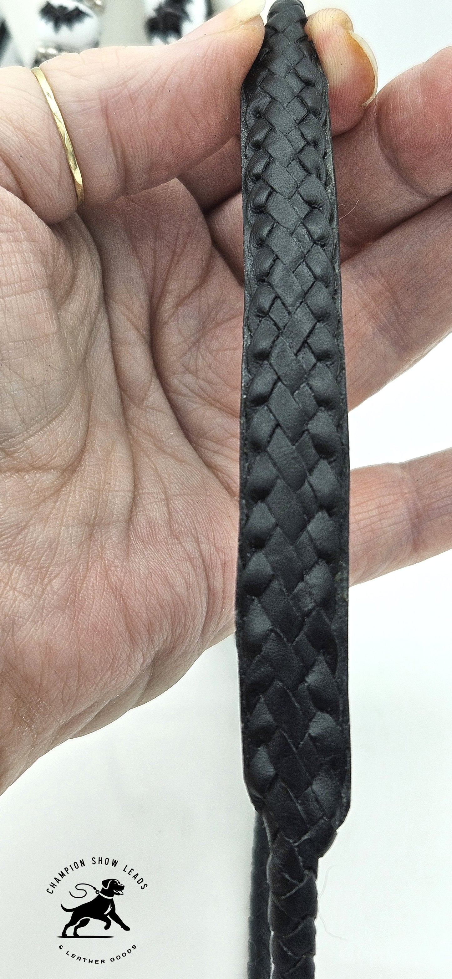 52" All-in-one Lead with Resco Style Collar and Kindness Pad