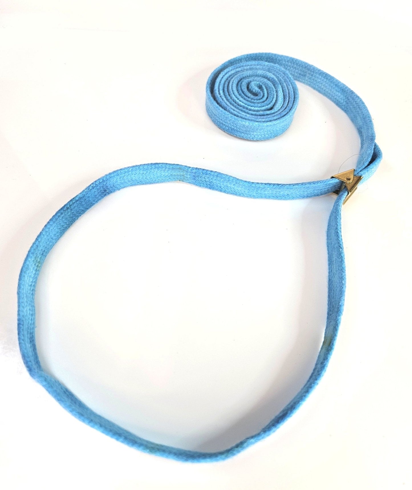 3/8" Cordo-Hyde Show Lead with Resco Collar -Blue - Champion Show Leads