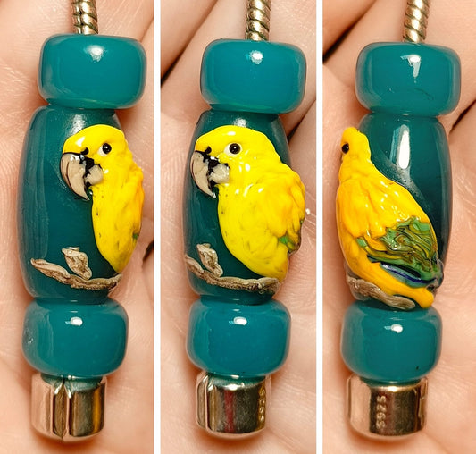 Budgie - Champion Show Leads