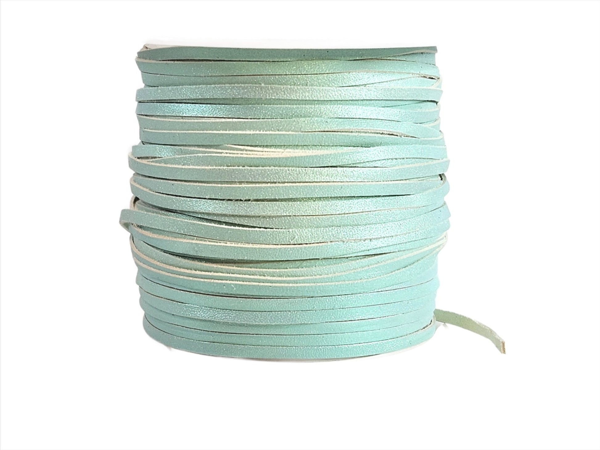 Custom Mermaid Shimmer Iridescent - Champion Show Leads