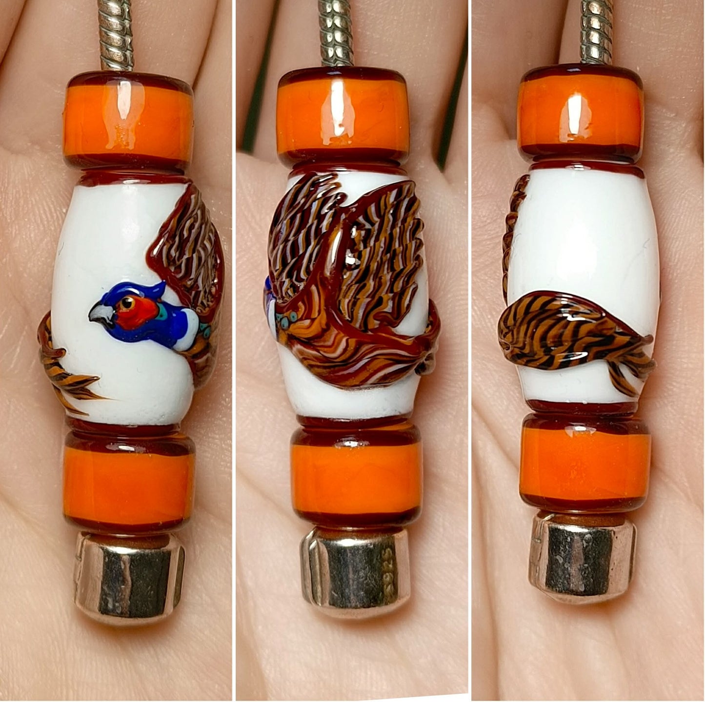 Ring-Necked Pheasant 2