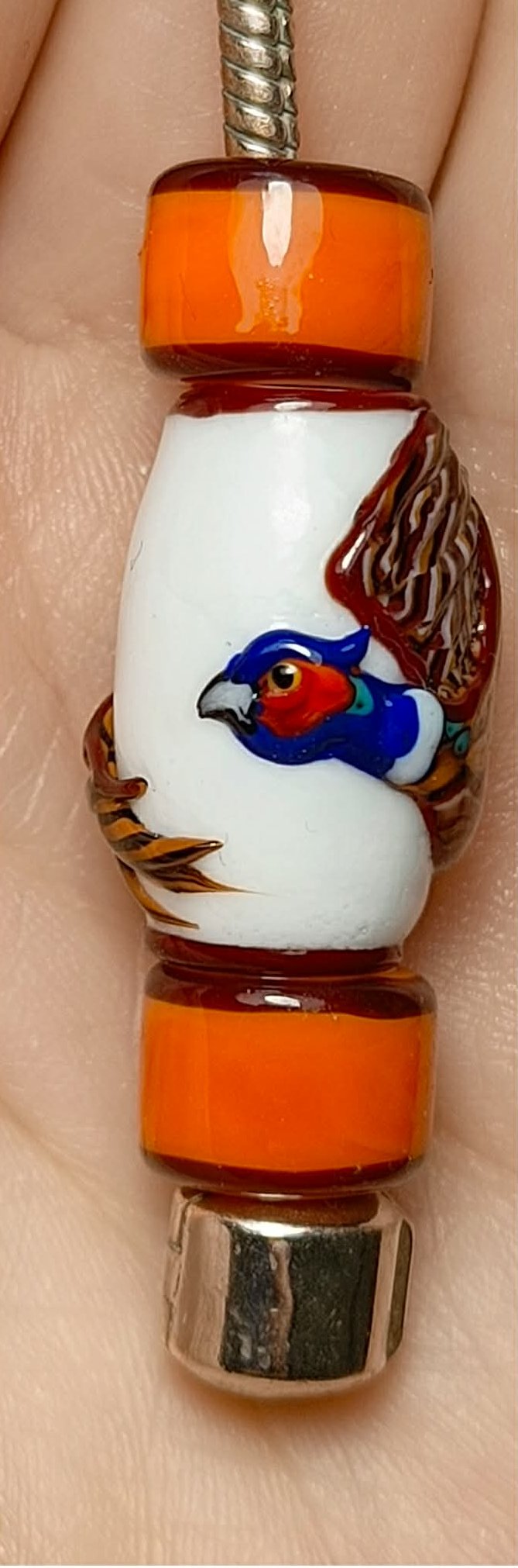 Ring-Necked Pheasant 2