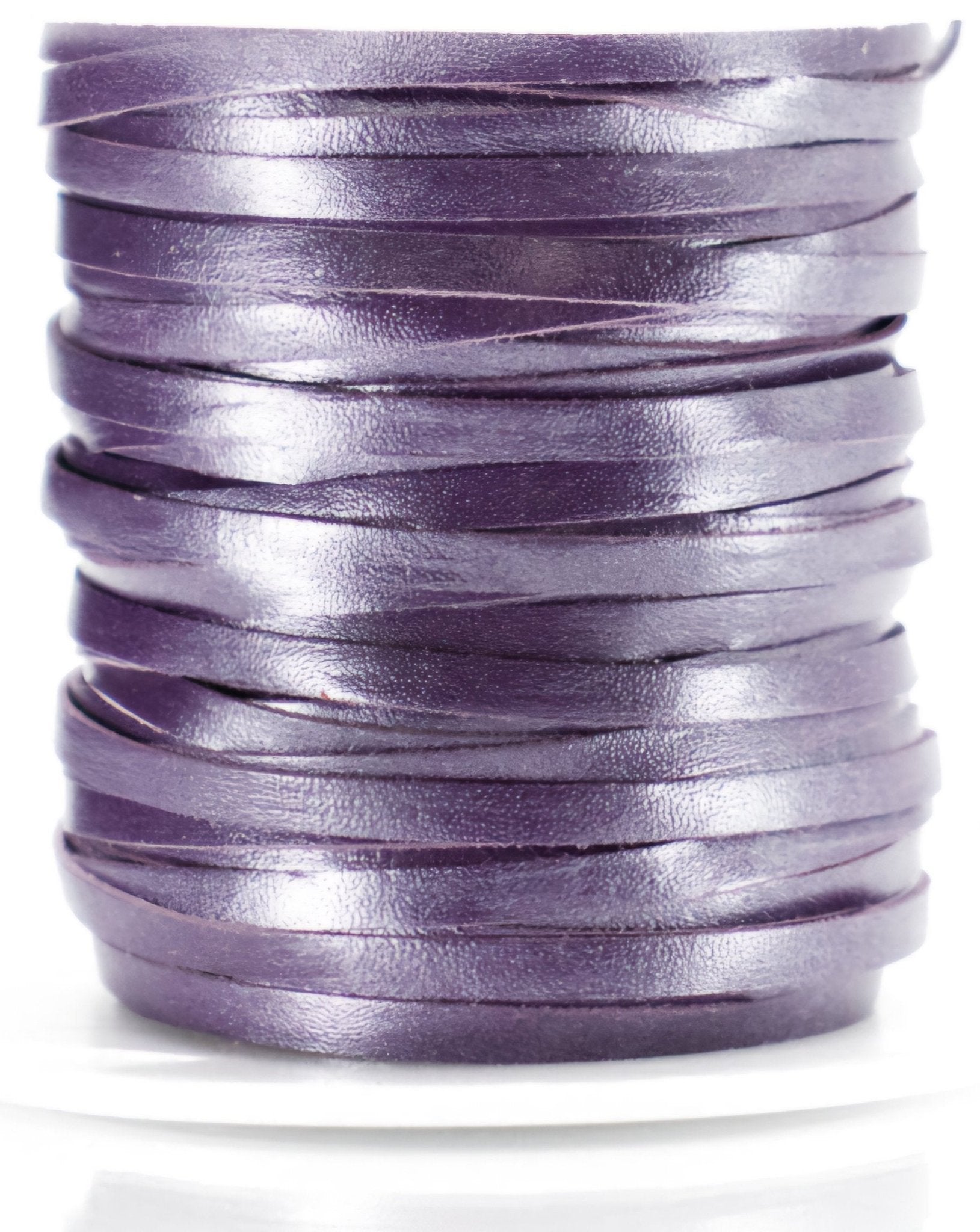 Purple Plum Shimmer (New) - Champion Show Leads