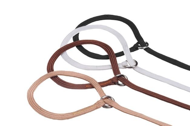 Slip Collar - Nylon - Champion Show Leads