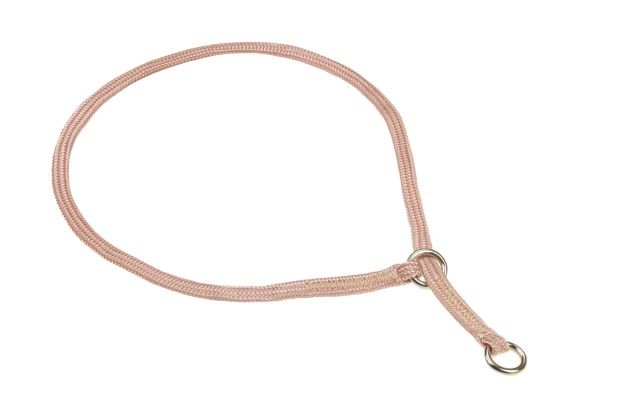 Slip Collar - Nylon - Champion Show Leads