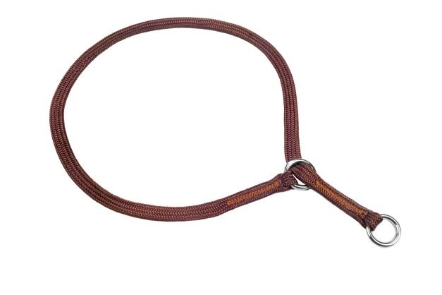 Slip Collar - Nylon - Champion Show Leads